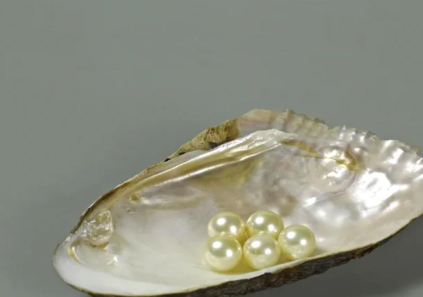 暖心正能量的30条励志短句：温柔治愈，坚定前行